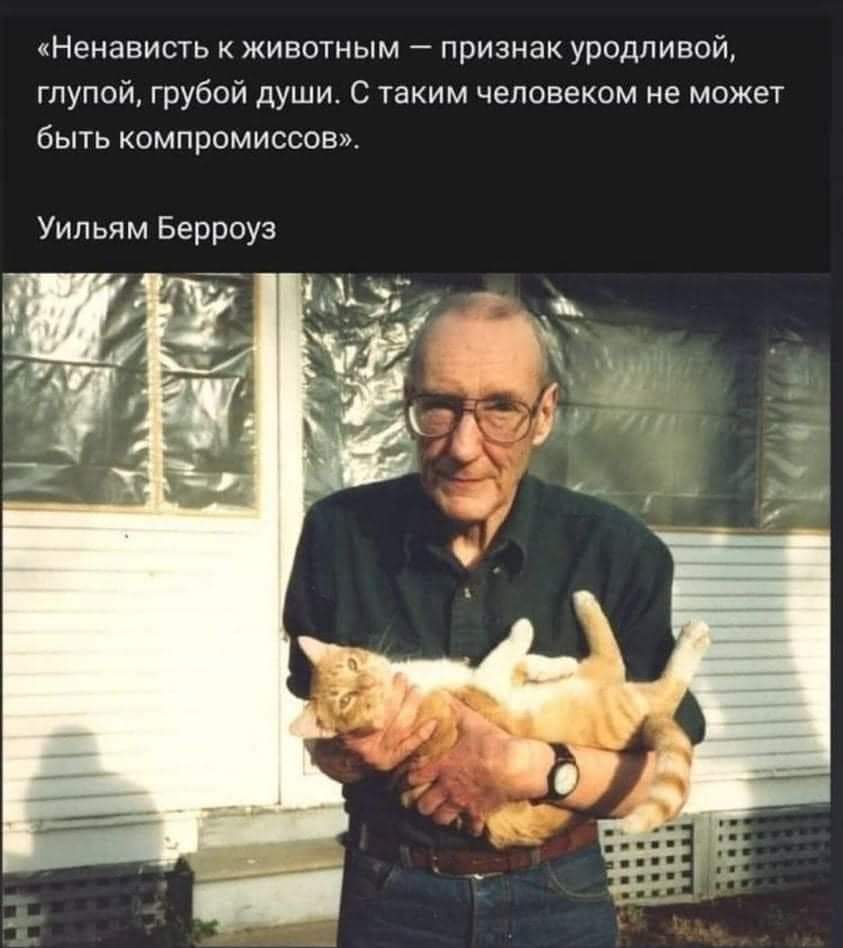 Слава Малахов (Валаар Моргулис) tweet media