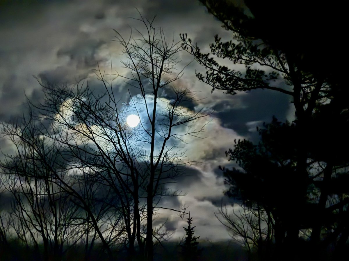 A beautiful #wolf_moon over #PEI