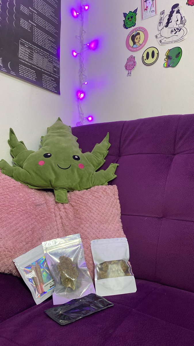 Laarquioficial's tweet photo. Voy al norte de la CDMX a buscar mi depa y a esconder estos regalos porque La Arqui Pacheca los quiere mucho y en el compartir está la abundancia 🍁✨👷🏽‍♀️

RT Y FOLLOW PARA MÁS PISTAS 🌝 https://t.co/h2HtSnSuSP