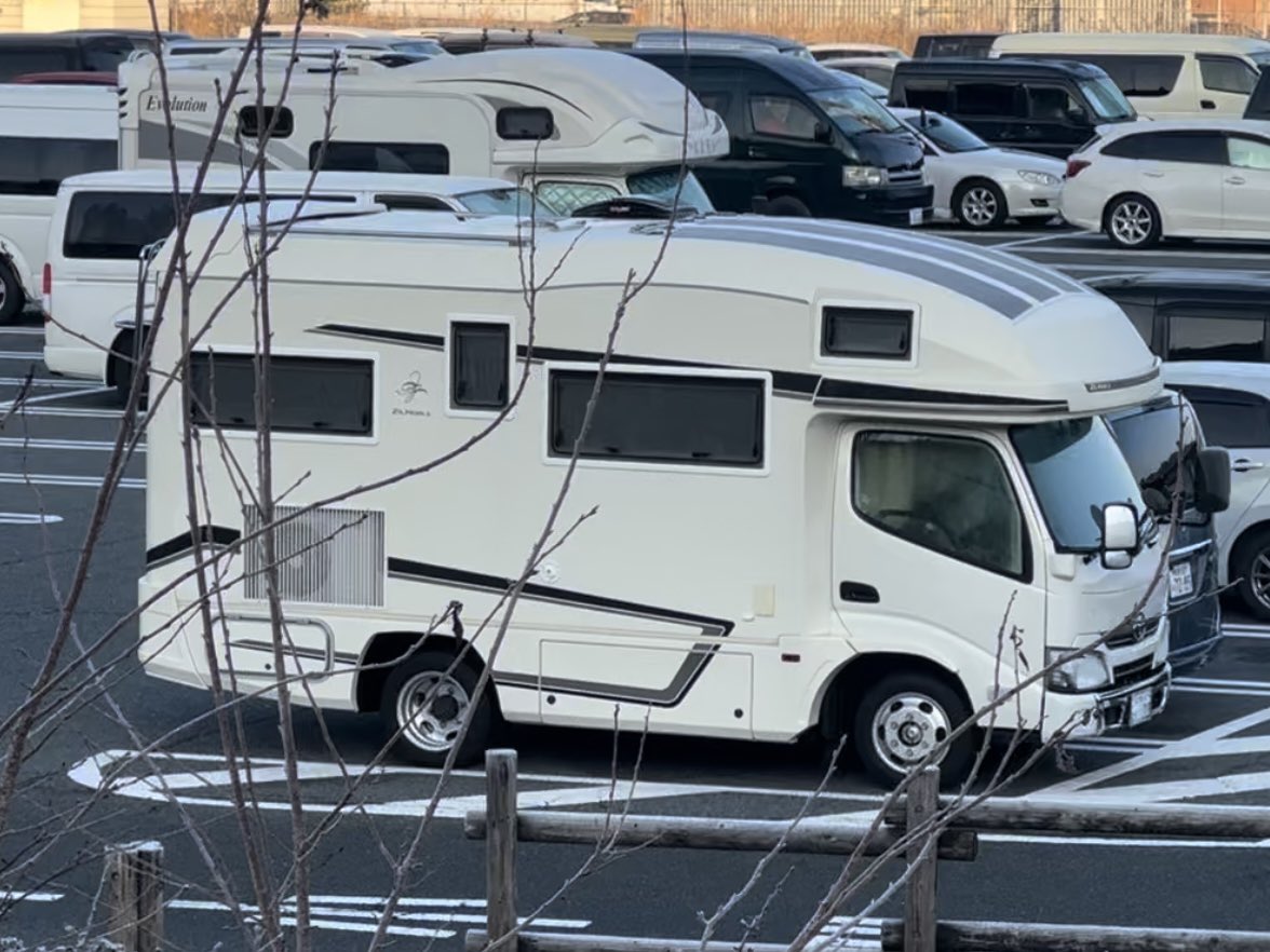 vanBeelife tweet media