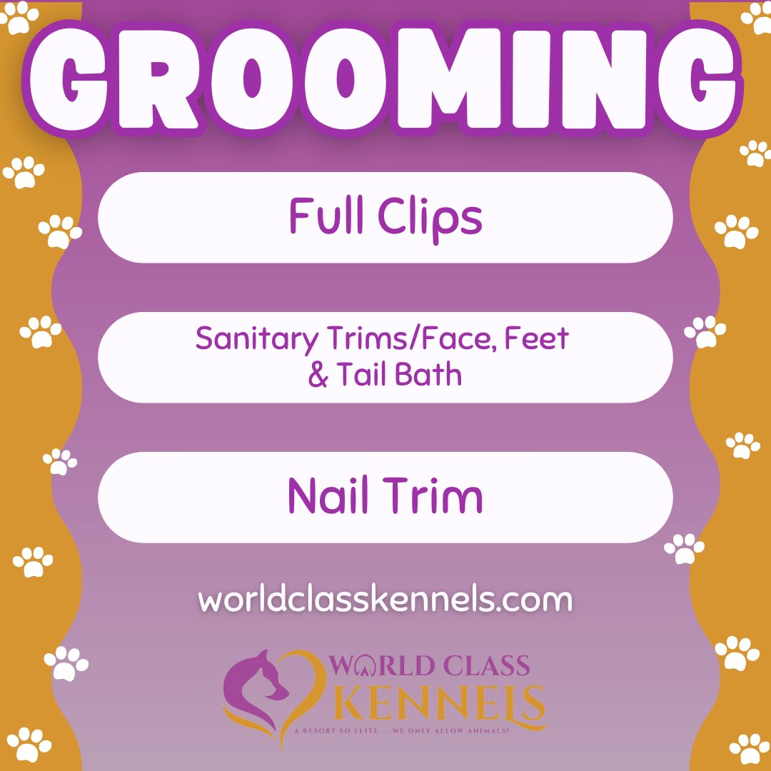 WCK35078's tweet photo. Helping your furry friend look their best!! Learn more on our website at https://t.co/oiny9rntgg

#chelseaal #Alabama #invernessal #mountainbrookal #HighlandLakes #HelenaAL #ForestOaks #AlabasterAL #hooveral #DogBoarding #DogGrooming #OdenvilleAL #HarpersvilleAL https://t.co/cymyxKIpMp
