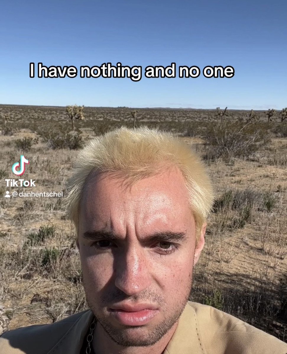 danghentschel's tweet image. 