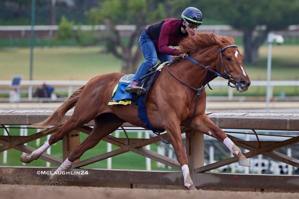 kimo16's tweet photo. Pony Express under jockey Kazushi Kimura shared the bullet for 5F in 59.40  this morning for trainer John Sadler @santaanitapark @sadlerracing @kazushi0096 https://t.co/sp6PpRZqqQ