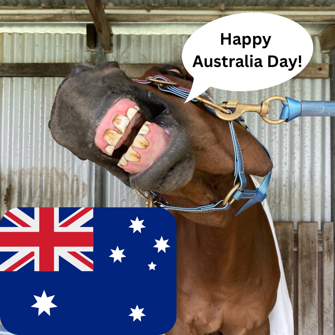 Jane Baker Racing Stables (@janebakerracing) on Twitter photo 