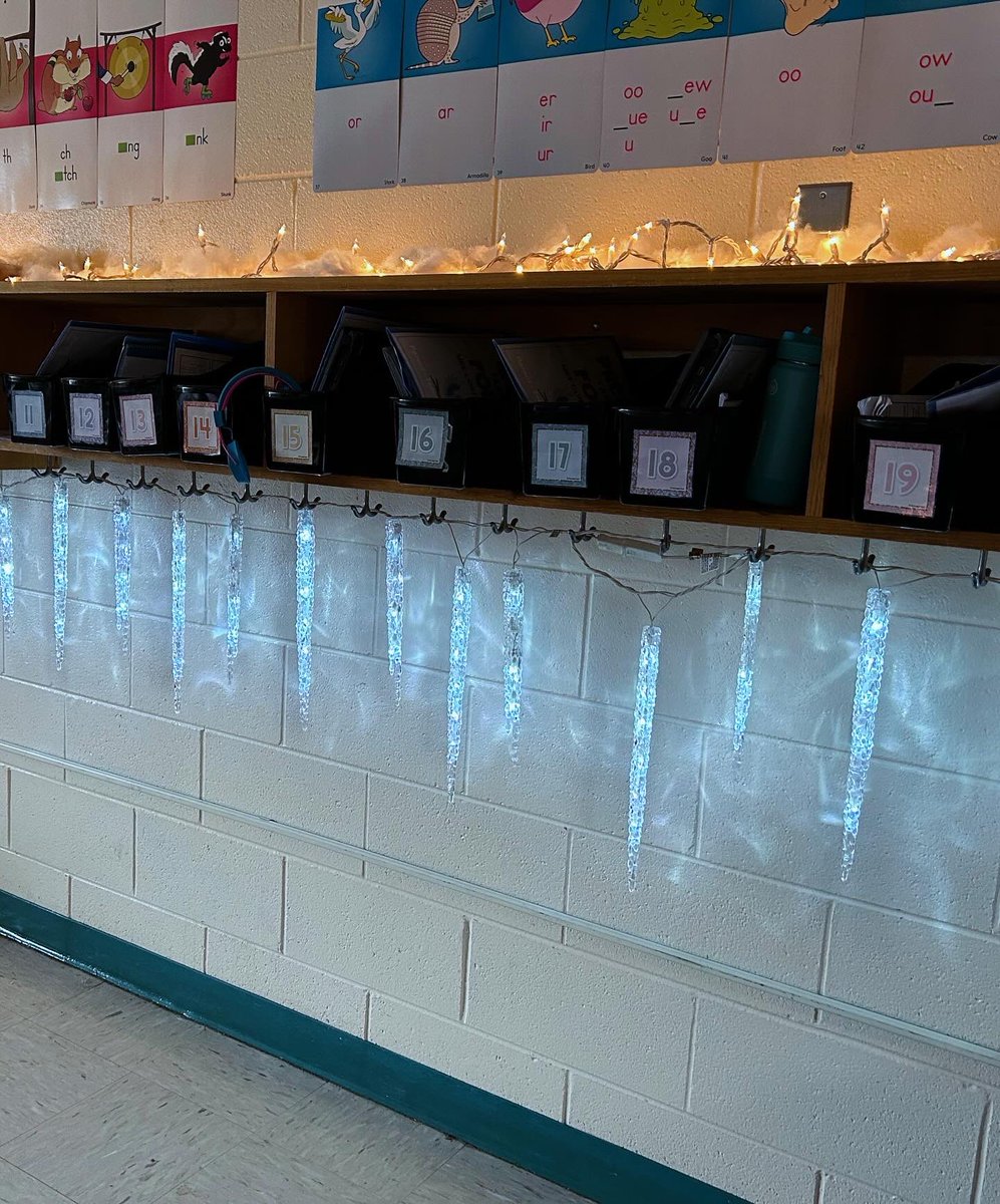 Paige Conti tweet media