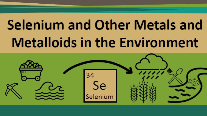 UBC Chemistry (@ubcchem) on Twitter photo <a href="/nadineborduas/">Nadine Borduas-Dedekind</a> and graduate student Paul Hein will host the session "Selenium and Other Metals and Metalloids in the Environment" at the environmental division of the upcoming <a href="/CIC_ChemInst/">Chemical Institute of Canada</a> 2024 conference.
Apply by Jan 30 to speak at the session. xcdsystem.com/cic/abstract/i… <a href="/nadineborduas/">Nadine Borduas-Dedekind</a> and graduate student Paul Hein will host the session "Selenium and Other Metals and Metalloids in the Environment" at the environmental division of the upcoming <a href="/CIC_ChemInst/">Chemical Institute of Canada</a> 2024 conference.
Apply by Jan 30 to speak at the session. xcdsystem.com/cic/abstract/i…