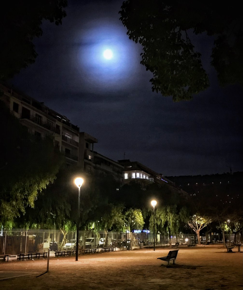 Tonight’s Wolf Moon~*
the first full moon of 2024

une boule céleste
surveille le terrain de boules

#nissalabella #dogwalkies
#fullmoon #pleinelune2024