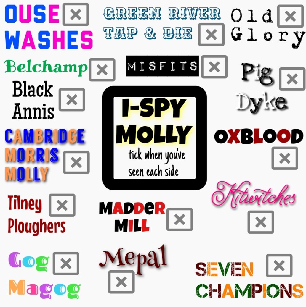 Are you going to @OuseWashesMolly day of dance on saturday for some #mollymalarkey? Here's a handy i-spy guide to all the teams dancing  🤞 so you can tick the boxes to make sure you see all 15 😀