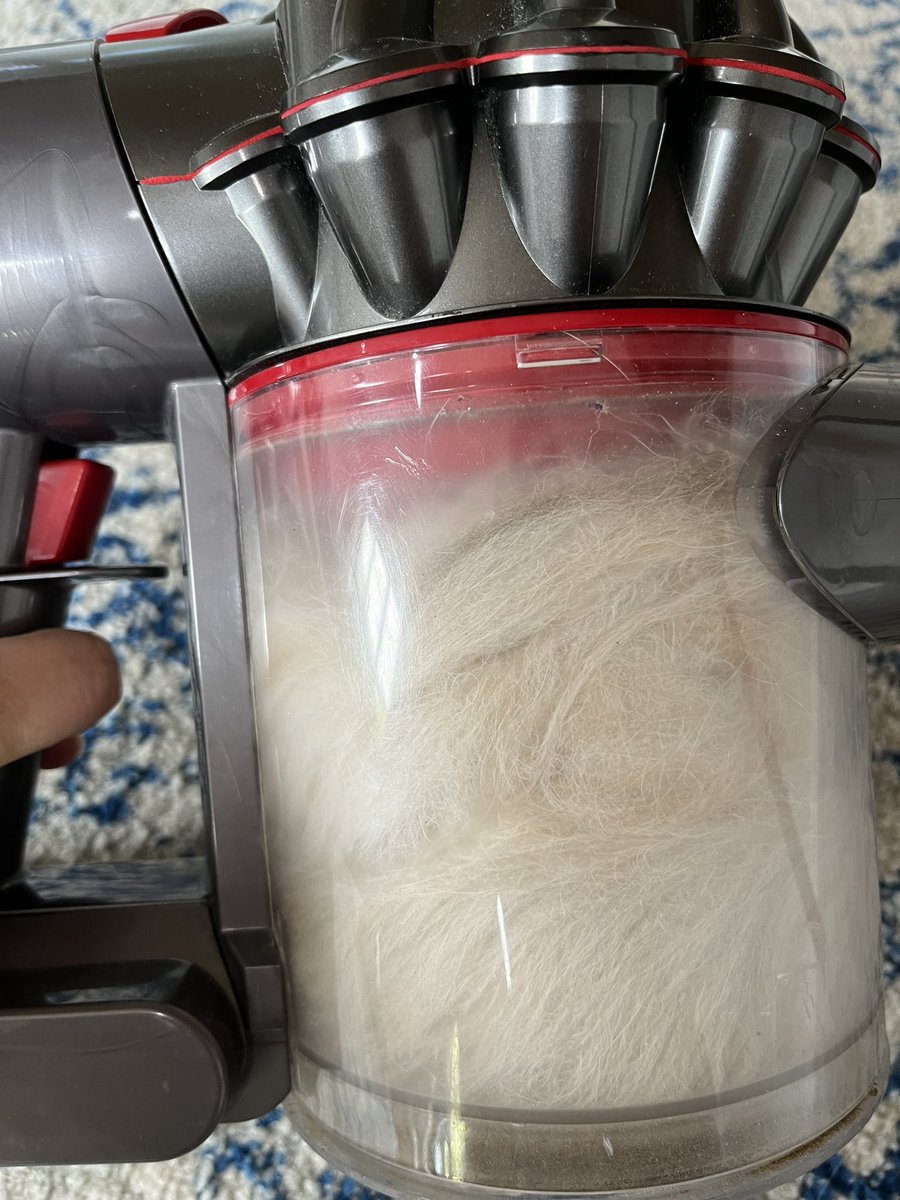 左半身ブラッシング終了!
これでまだ半分だよ。