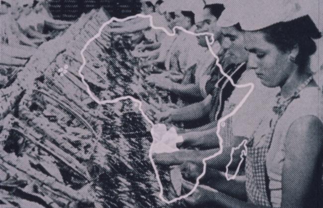 BerlinBeyond's tweet image. #InOurCommunity: 📽️🎞️ @BAMPFA presents SKIP NORMAN HERE AND THERE Jan. 25 - Feb. 29. 

This retrospective looks at the filmmaker, cinematographer, photographer &amp;amp; scholar's West German productions and lesser-known American works. 

🎟️ Tickets &amp;amp; Schedule: bampfa.org/program/skip-n…