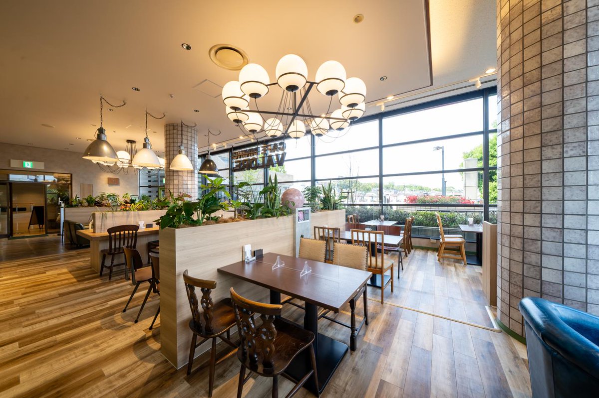 cafe_VALORE's tweet photo. バローレです☺

明るい陽射しが差し込み
開放感たっぷりな店内。

観葉植物はすべて本物の木々を使用。
職人さんが丁寧に手入れしてくださっています✨

マイナスイオンがあふれる癒しの店内で
ごゆっくり素敵なお時間をお過ごしください👍

#VALORE
#吹田
#カフェ巡り https://t.co/QHHpbC5y9p