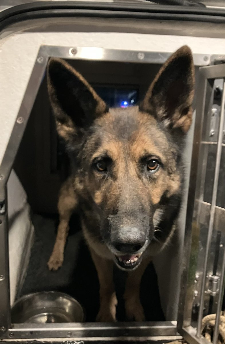 Report of crashed 🚐 with driver &amp; his 🐕 walking off. PD Merlin tracked away locating both in a field nearby #thenoseknows