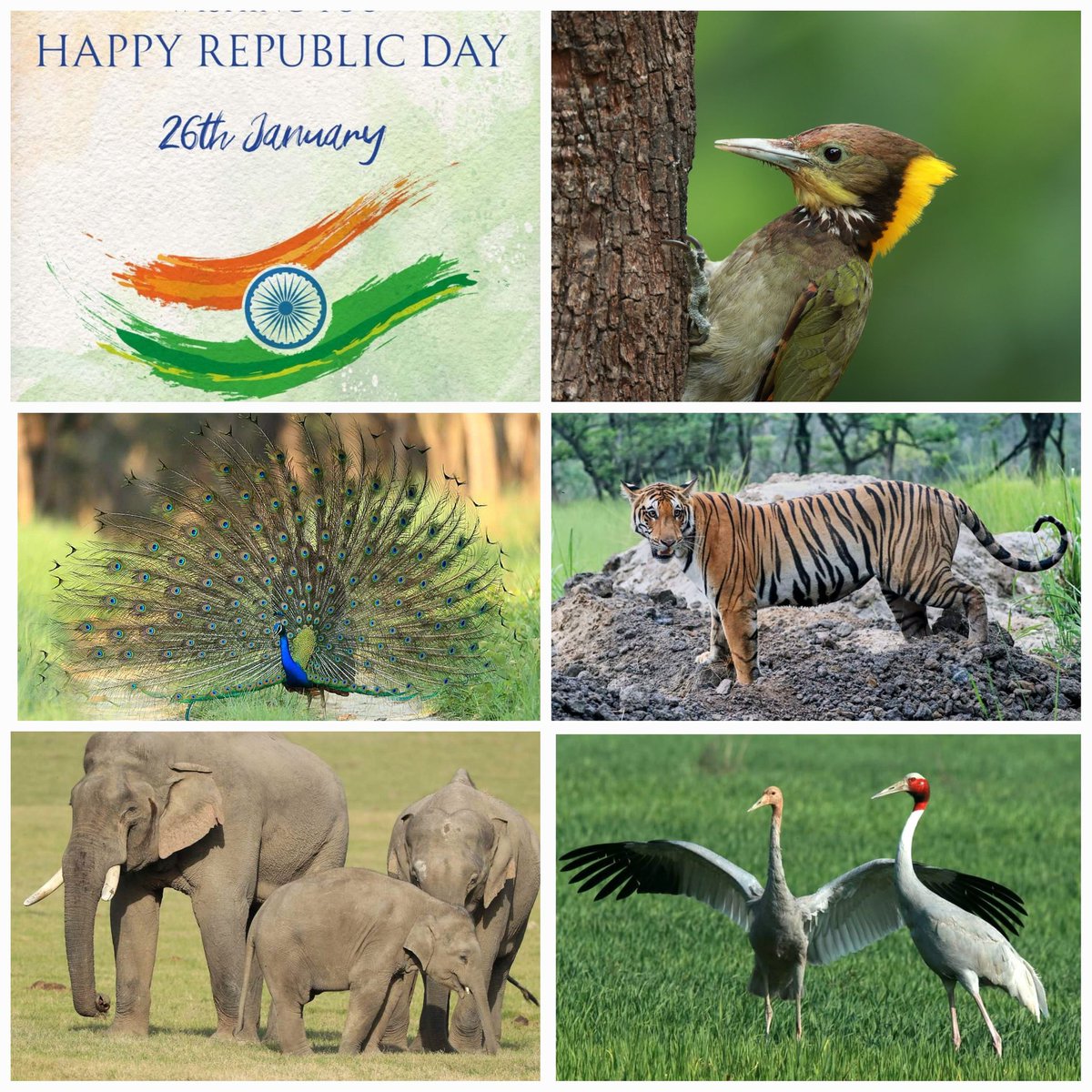 Let's join our hands together in celebration of India's 75th Republic Day. India with the largest population & workforce is working on inclusive & sustainable growth for making the planet a better place. 🇮🇳 @PMOIndia @myogiadityanath @incredibleindia @moefcc @uptourismgov