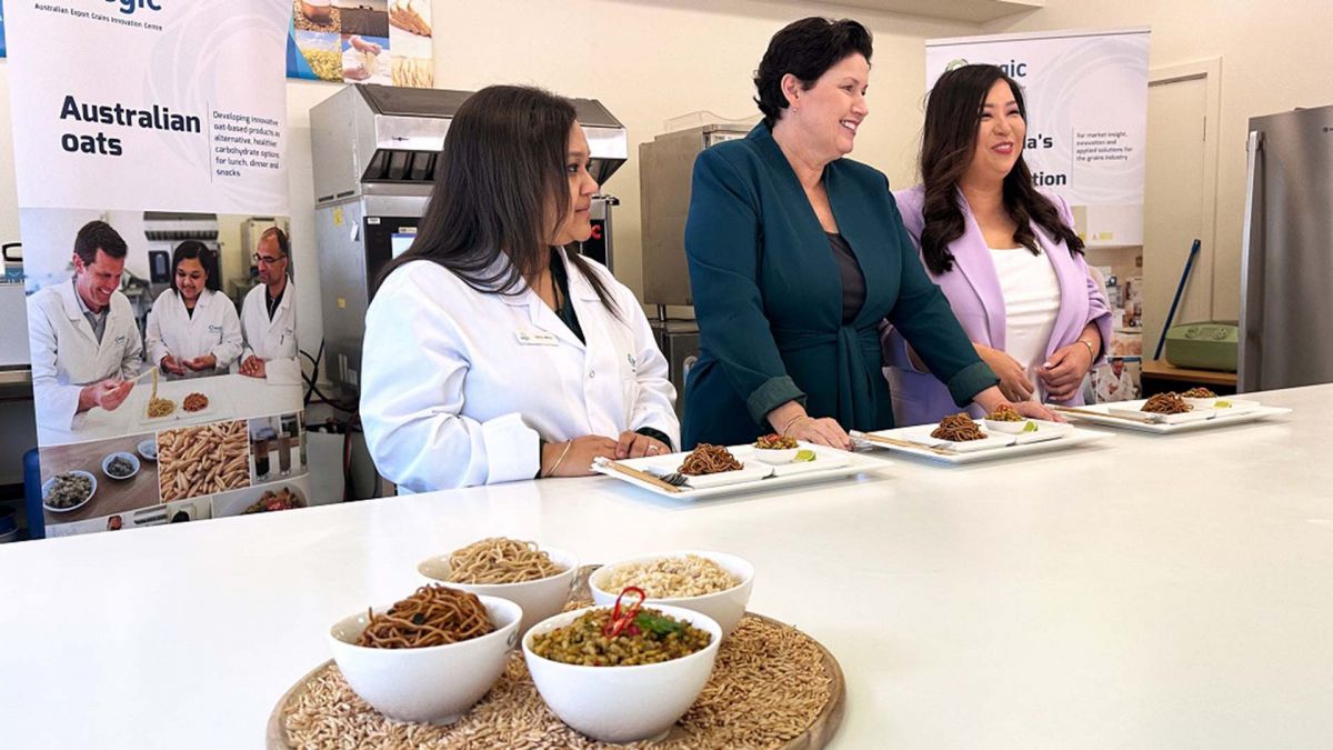 Oat noodles and oat ‘rice’ are destined for supermarket shelves! And it's thanks to <a href="/AEGIC/">Australian Export Grains Innovation Centre</a> and My PlantCo in Western Australia that are set to begin producing the innovative foods.

👉 bit.ly/3OblXLB