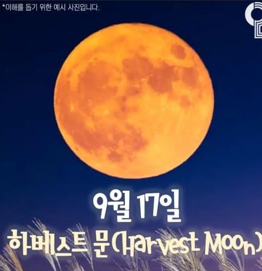 dongdong___0917's tweet photo. 올해 우리의 날에 뜨는 보름달이래!🤍🌕 https://t.co/wnfSKOfSpQ
