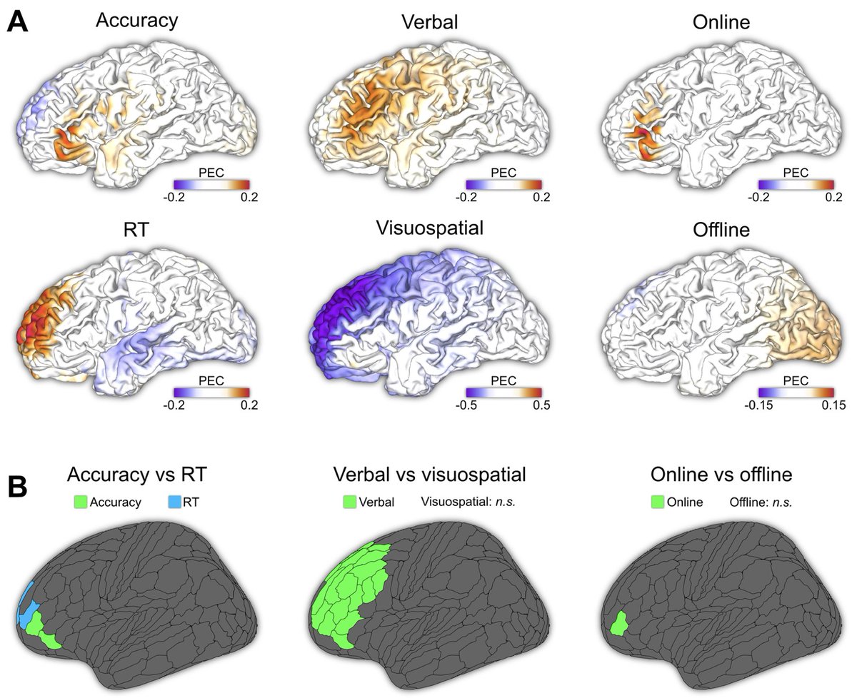 ImagingNeurosci's tweet image. New paper in Imaging Neuroscience by Miles Wischnewski, Taylor A. Berger and Alexander Opitz:

Meta-modeling the effects of anodal left prefrontal transcranial direct current stimulation on working memory performance

doi.org/10.1162/imag_a…