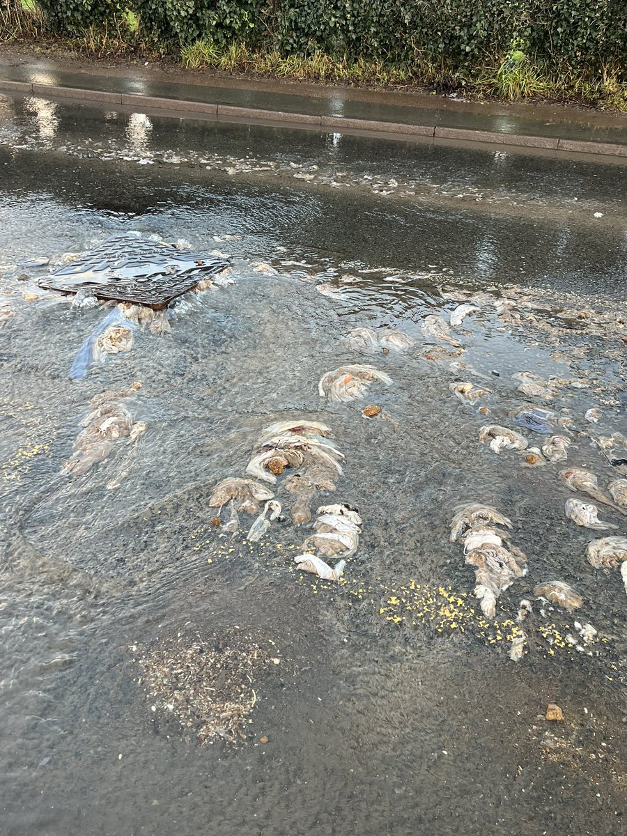 hedgey3's tweet photo. @EnvAgency @CF_Conf Any chance you could stop the raw sewage flowing down the road and into the river @lambourn?  Reported several times…. https://t.co/GuHXRLnswY