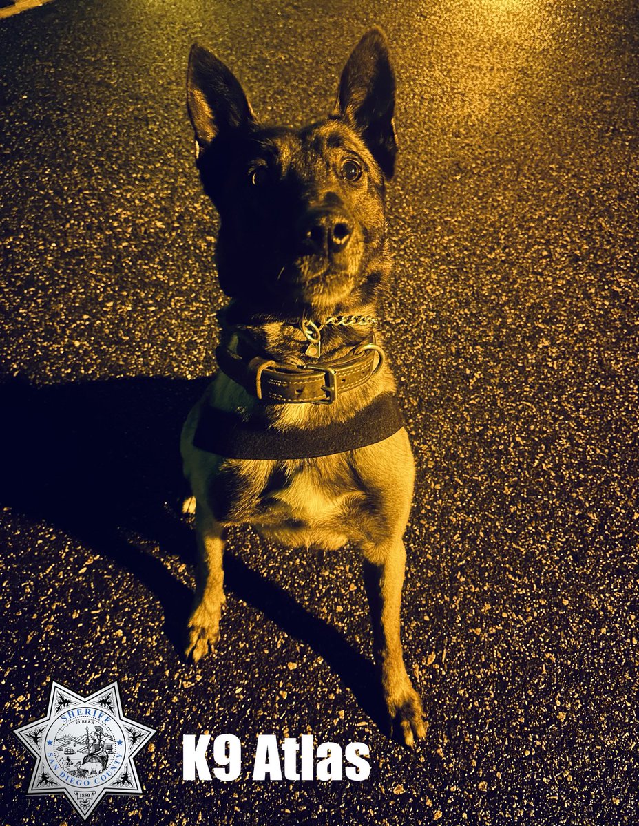 A reminder from #K9Atlas to start your evening safety routine and help keep our community safe. #StayAlert #SafeCommunities 

✔️Create an evening safety routine 
✔️ Lock vehicles /doors/windows
✔️Remove valuables from your car
✔️Close garage doors 
✔️Report suspicious activity