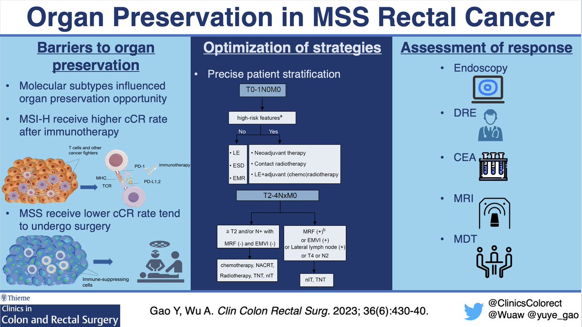 ClinicsColorectal (@clinicscolorect) on Twitter photo Our Dec 2023 issue is on Molecular Profiling in CRS. <a href="/wuaw/">うあ</a> <a href="/yuye_gao/">gao</a> summarize barriers & optimization for organ preservation in MSS tumors. thieme-connect.com/products/ejour…
<a href="/ScottRSteeleMD/">Scott R. Steele</a> <a href="/SWexner/">Steven D Wexner MD, PhD</a> <a href="/TomVargheseJr/">Tom Varghese Jr. MD, MS, MBA, FACS, MAMSE 🇺🇸</a> <a href="/SeanLangenfeld/">Sean Langenfeld</a> <a href="/juliomayol/">Julio Mayol</a> <a href="/ASCRS_1/">ASCRS_1</a> @jabelsonmd <a href="/MattBobel/">Matthew Bobel, MD</a> <a href="/suziehillmd/">suziehillmd</a> Our Dec 2023 issue is on Molecular Profiling in CRS. <a href="/wuaw/">うあ</a> <a href="/yuye_gao/">gao</a> summarize barriers & optimization for organ preservation in MSS tumors. thieme-connect.com/products/ejour…
<a href="/ScottRSteeleMD/">Scott R. Steele</a> <a href="/SWexner/">Steven D Wexner MD, PhD</a> <a href="/TomVargheseJr/">Tom Varghese Jr. MD, MS, MBA, FACS, MAMSE 🇺🇸</a> <a href="/SeanLangenfeld/">Sean Langenfeld</a> <a href="/juliomayol/">Julio Mayol</a> <a href="/ASCRS_1/">ASCRS_1</a> @jabelsonmd <a href="/MattBobel/">Matthew Bobel, MD</a> <a href="/suziehillmd/">suziehillmd</a>