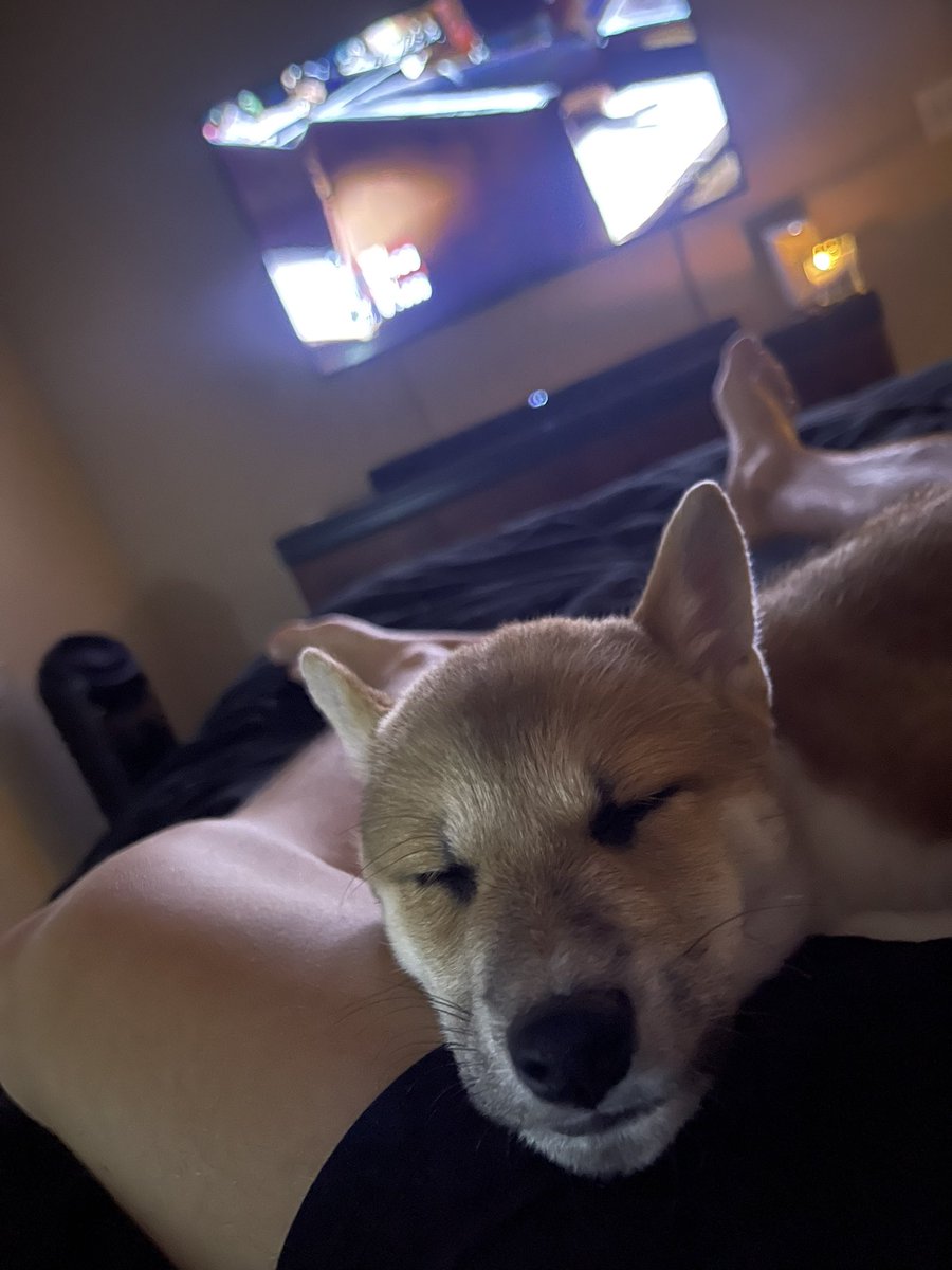 PsychedelicDoge's tweet photo. https://t.co/Hlm3W6ekEs
