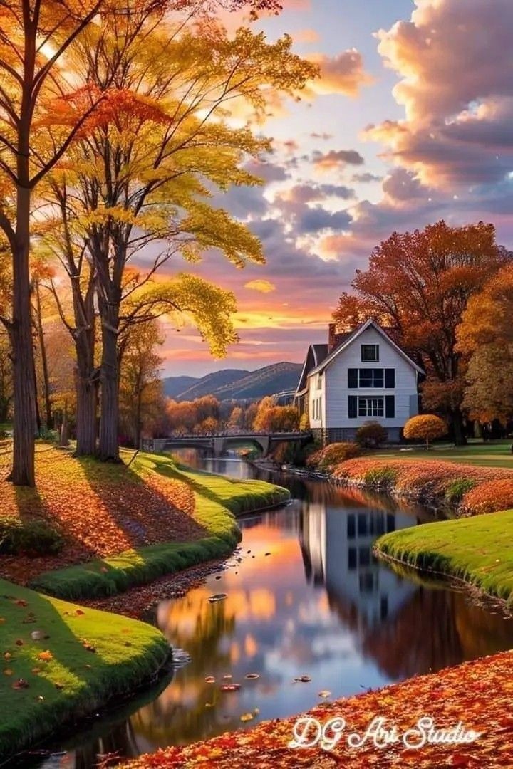 AmordAlma_'s tweet photo. Have a great Friday 🤍🧡 https://t.co/wTUGkaLzun