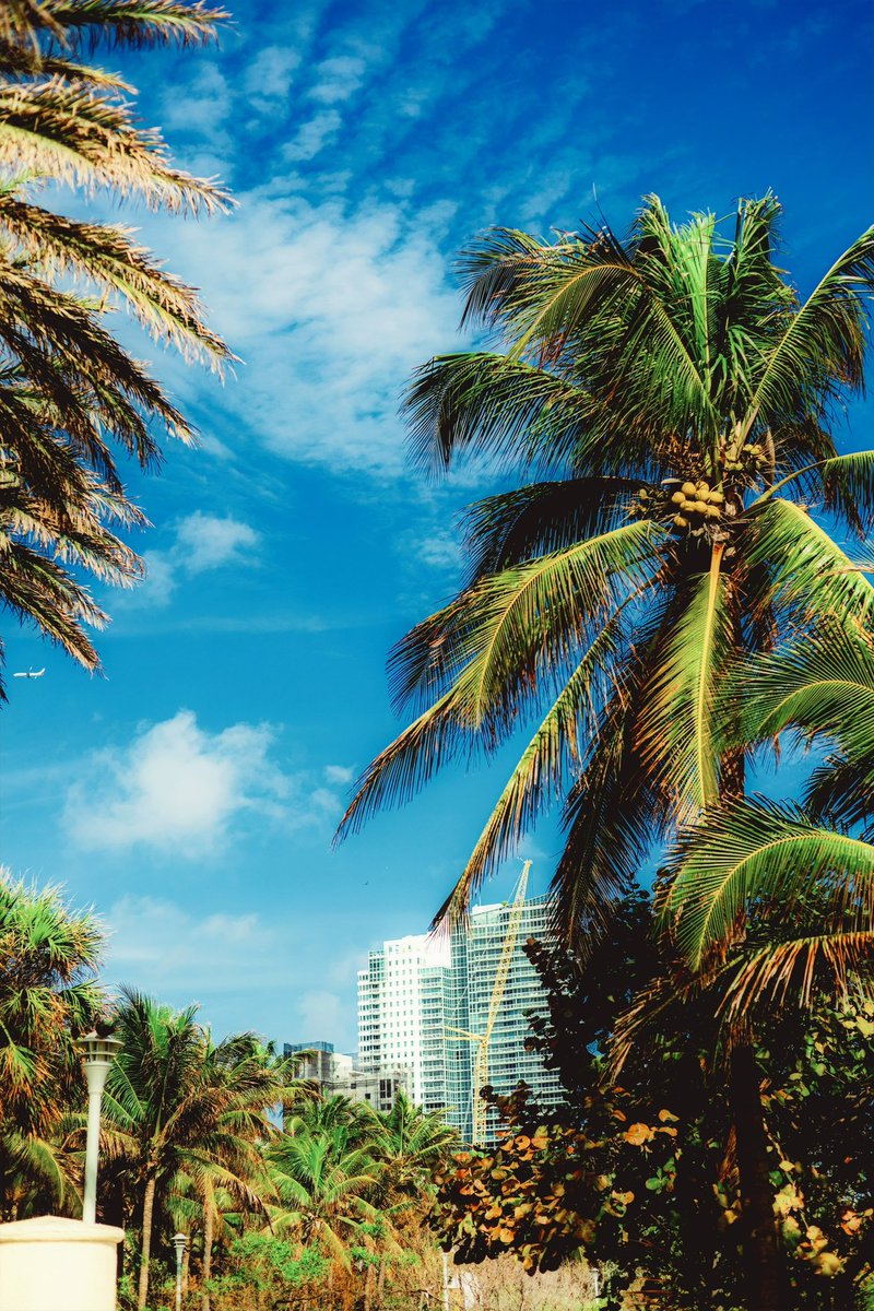 Nicholas tweet media