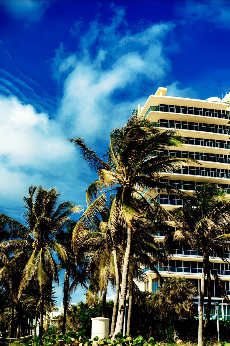 Nicholas tweet media