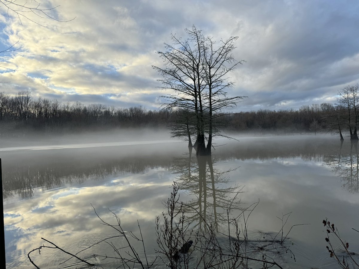 Just a few more days to duck hunt this season…..