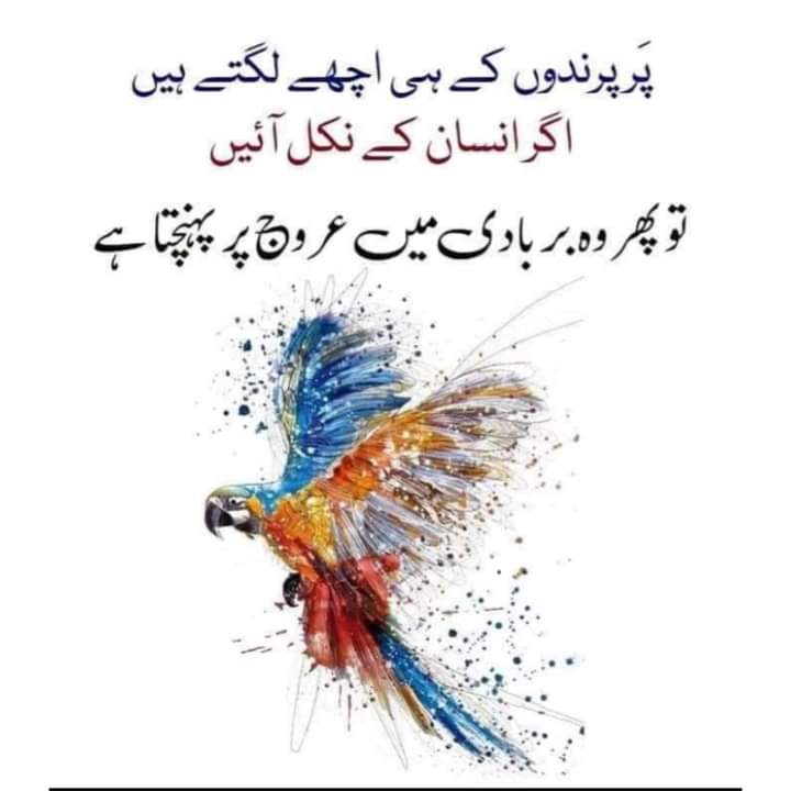 💔💔آجکل لوگوں کے پسندیدہ مشغلے.
دوسروں کو طنز کرنا
مذاق اڑانا 
طعنے دینا
تہمت لگانا
الزام تراشی کرنا
گالی گلوچ کرنا
کسی کو برے ناموں سے پکارنا
#اللہ تعالیٰ سے دعا ہے کہ ہمیں ایسے ظلم سے بچائے جس میں کدورتوں رنجشوں اور تنازعوں کو دل میں رکھ کر بغض پالے جاتے ہیں۔
آمین ثم آمین یا