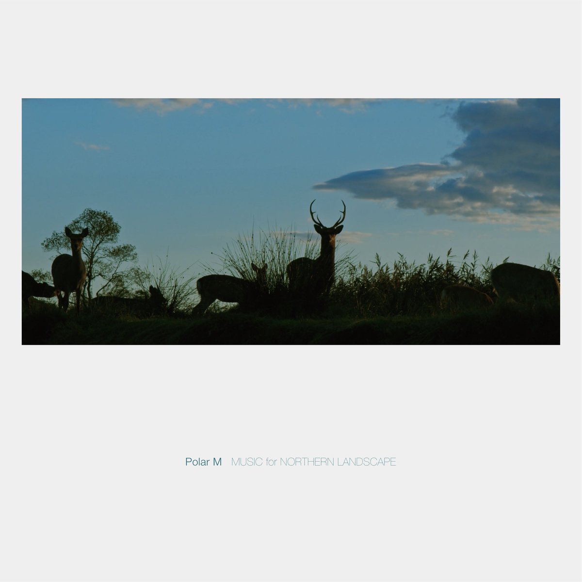 // OUT NOW //

本日、新作『Music For Northern Landscape』がリリースされました！

open.spotify.com/intl-ja/album/…

各種ストリーミング・デジタル&amp;CDフォーマットでリリースです。写真や映像とともに、ゆったり楽しんで頂けたら幸せです。

是非多くの方に…！🙏

linktr.ee/polar_m