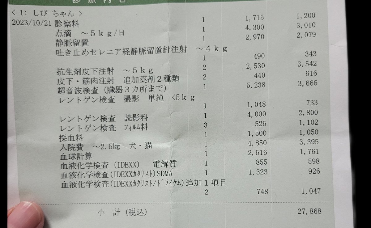 chipie0826's tweet photo. 腎不全しぴ、新しい街での初病院。
救急医療センターからの紹介。

本日初診料と血液検査で1万円。

先週の入院治療費費、18万円。
10月の手術治療入院費60万円。
その他ちょこちょこ通院で、
この4ヶ月で100万円越え。

保険にも上限があります。

『大変アピールですか？』

答え：はい、大変アピールです。

動物飼うって簡単じゃないです。まじ大変です。

ペットショップで『一目惚れ』で動物飼う人が減るように。

かかるのはご飯代だけじゃないってこと伝えていくために。

無責任に捨てられる命が減るように。

願っています。

無責任に捨てられたしぴの命を
守っていくために。

今日もしっかり働きます。