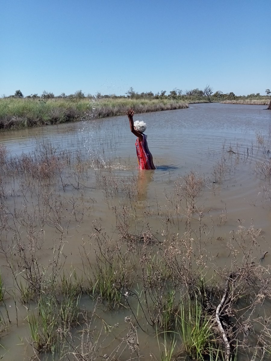 Polly Cutmore (Barawaa) also, @cutmore.bsky.social tweet media