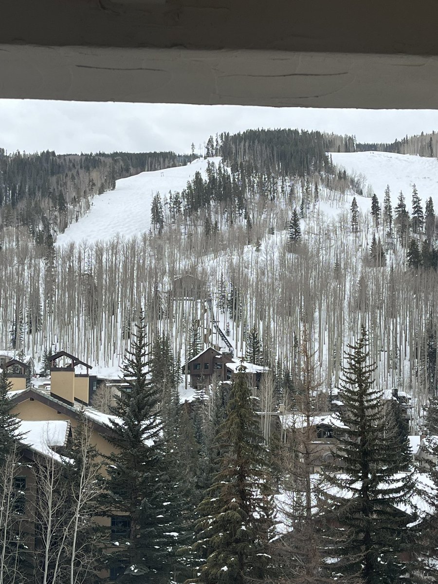 Amazing conference in Vail, CO, USA. It was so incredible listening to  thought provoking discussions on  #MIS #RoboticSurgery #SurgicalInnovation in children. 
Great venue too 🎿🏔️ 
@RMHCFamily