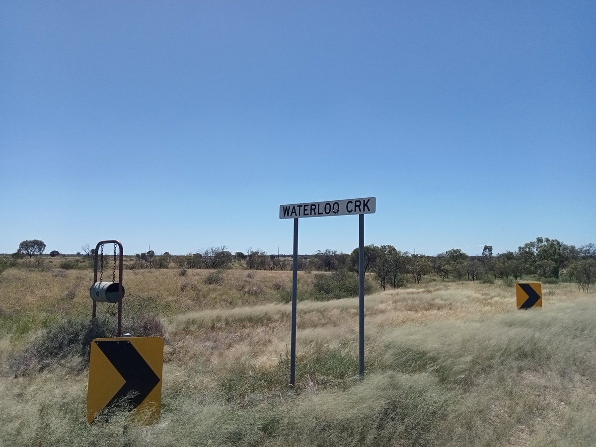 Yaama my mob, yaama. 186 years ago today a big tragedy occurred and many of my people were chased and slaughtered by men on horses. So good to be here to tell you - you are remembered and we survived. #WaterlooCreek #InvasionDay
