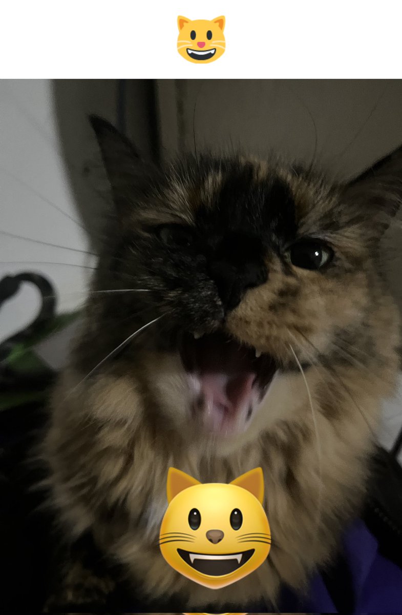 Devon desquehacerado tweet media