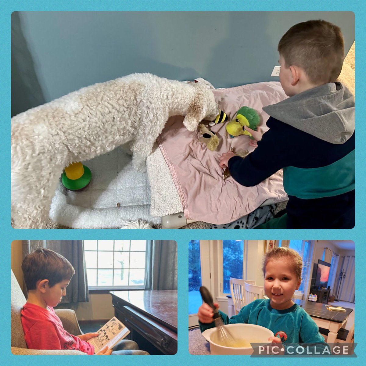 More examples of our KSS students working on Five Schools One Book activities.  #kanelandpride