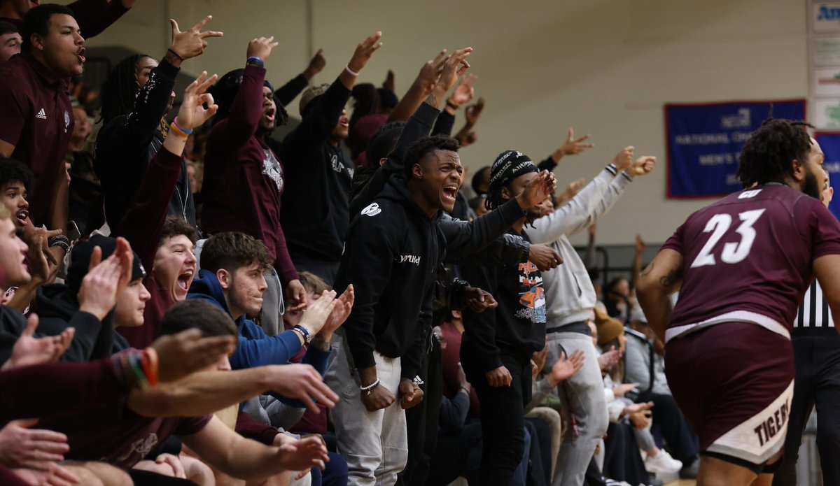 CvilleTigers's tweet photo. Defended this house and Highway 55 🔥😤. https://t.co/PC0MNSDplh