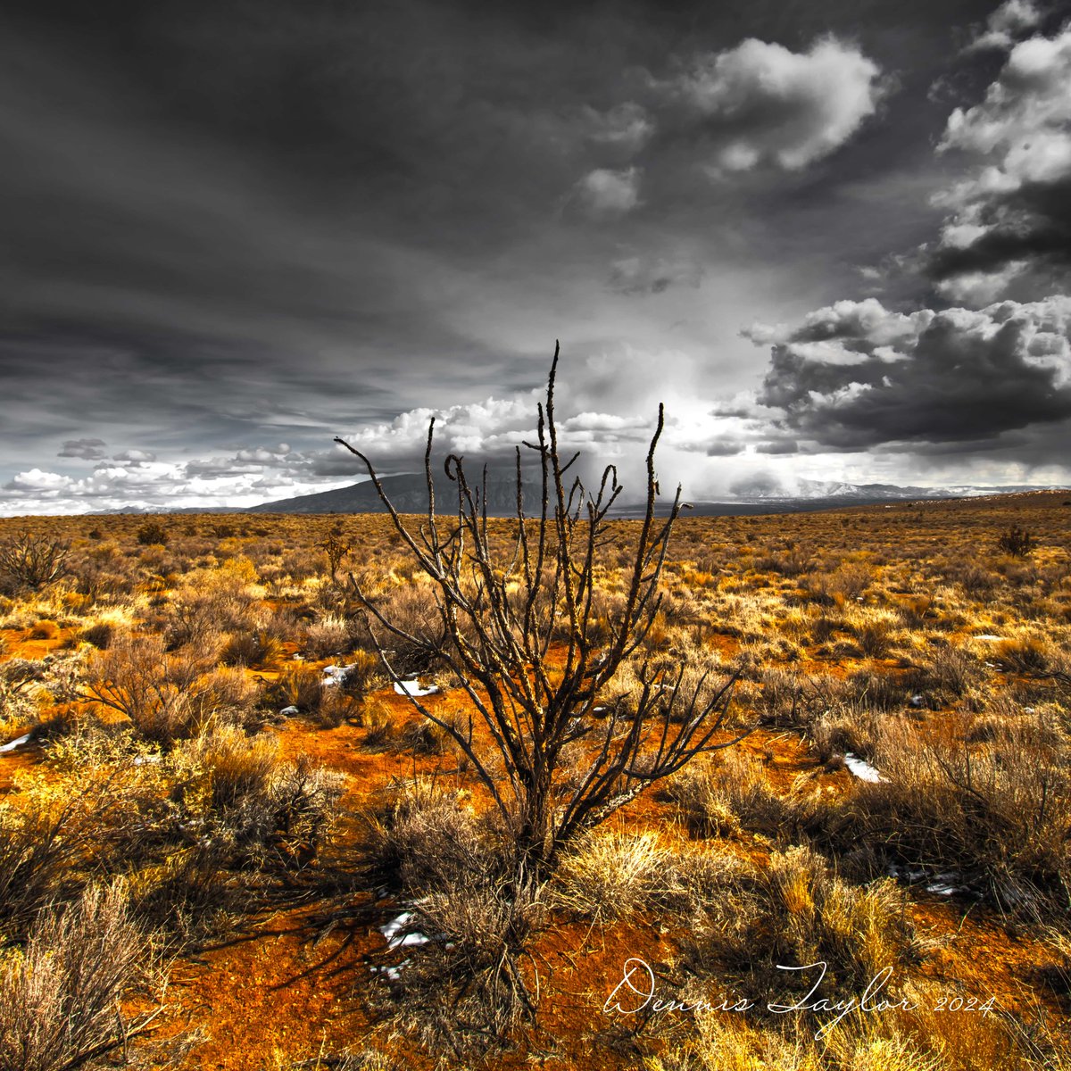 Even when winter slumbering the desert of #newmexico is a beautiful place to be #desertphotography #placestovisit