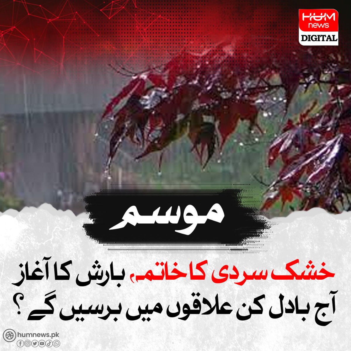 humnews_urdu tweet picture