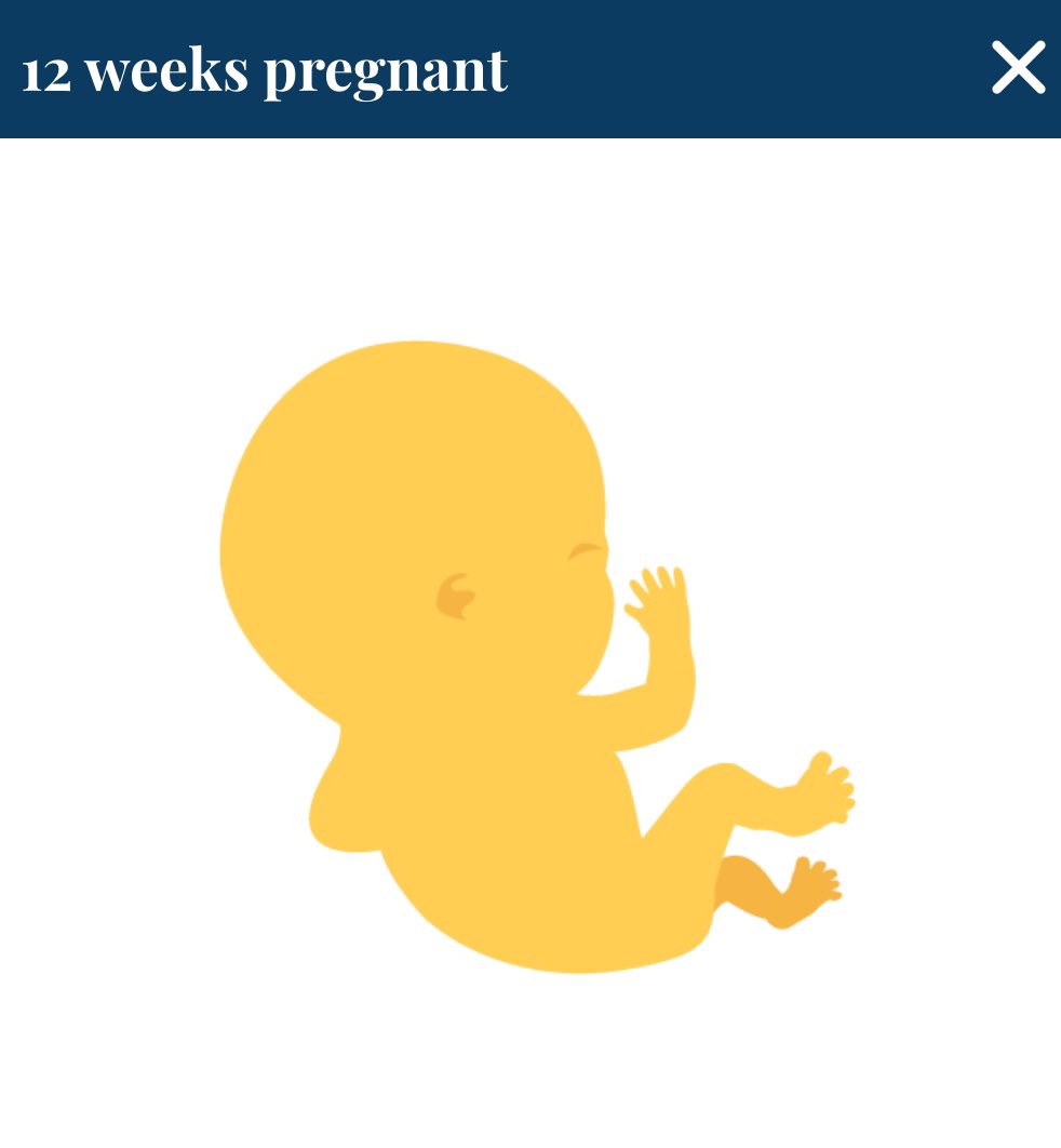 💕HelloMari.ETH 💕 tweet media