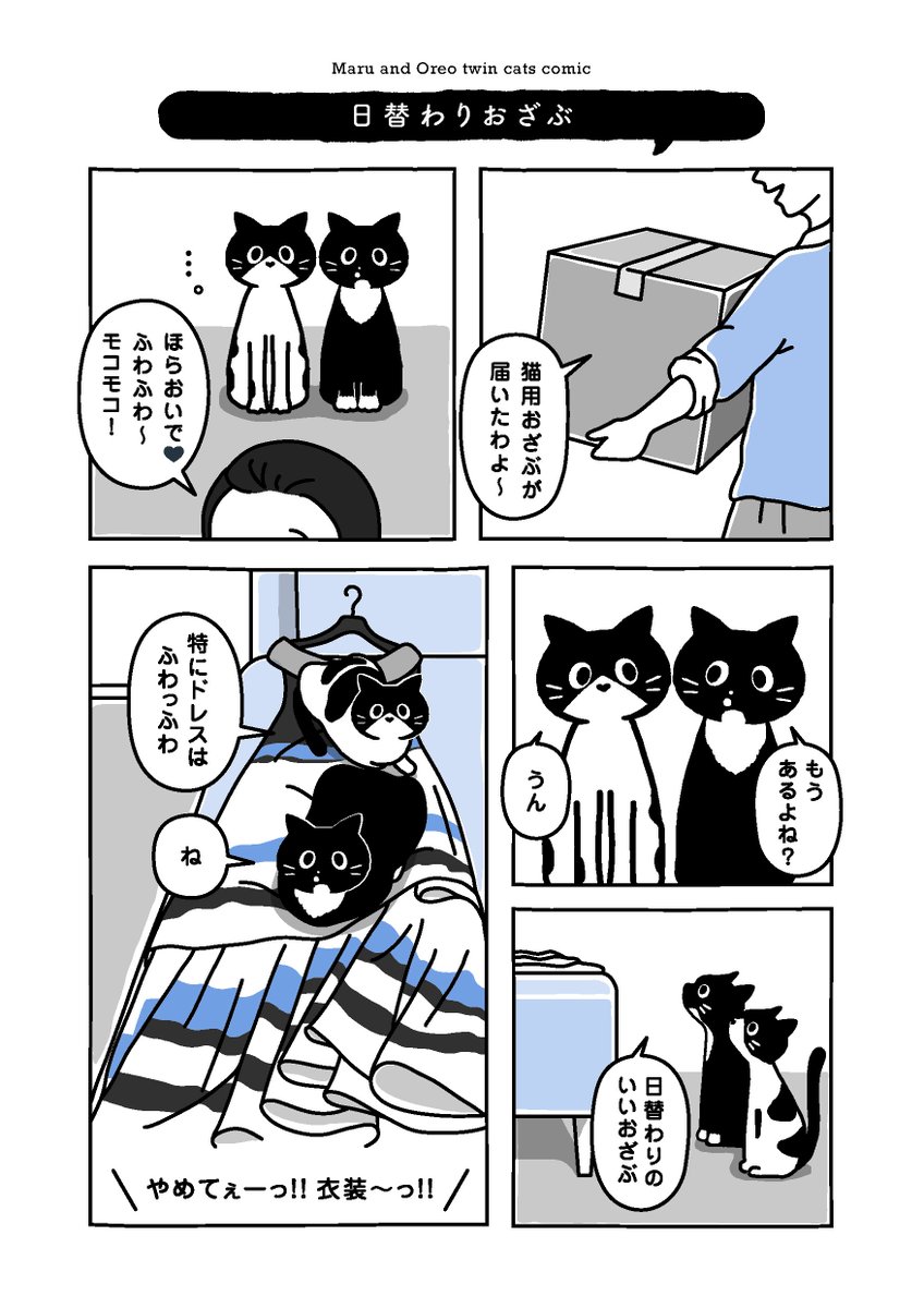 Maruore_comic's tweet photo. 【再掲】カリスマスターは ちょっぴりビビり…

@fuji_ayako
@umetokoume1
@famostaff

#漫画が読めるハッシュタグ
#マンガが読めるハッシュタグ
#猫がいる幸せ
#猫がいる生活
#マルとオレオふたりはなかよし https://t.co/AgBtKRbIg8