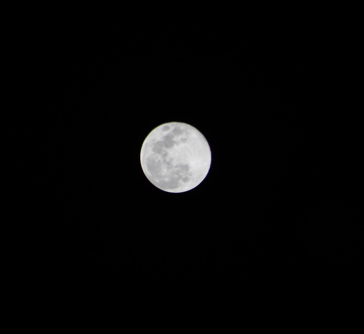 #ImagenTlatoani || Así de hermosa se ve esta noche la #LunaDeLobo 🌑🐺

📸 <a href="/k_gabriela/">Karen Gabriela</a>