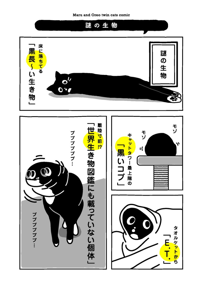 Maruore_comic's tweet photo. 【再掲】もちろん しっかり おこられました

@fuji_ayako
@umetokoume1
@famostaff

#漫画が読めるハッシュタグ
#マンガが読めるハッシュタグ
#猫がいる幸せ
#猫がいる生活
#マルとオレオふたりはなかよし https://t.co/SpbXLCrnt9