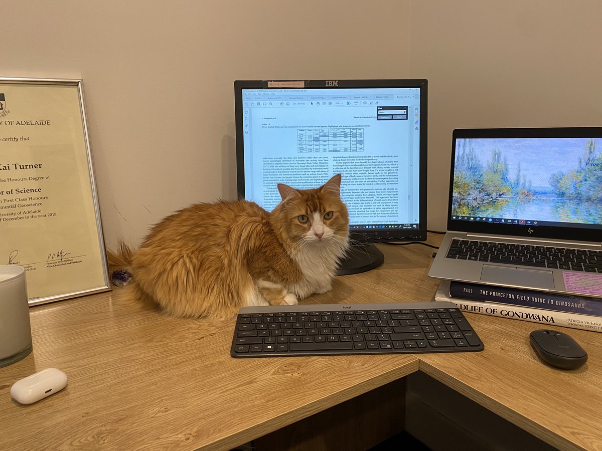 Research assistant