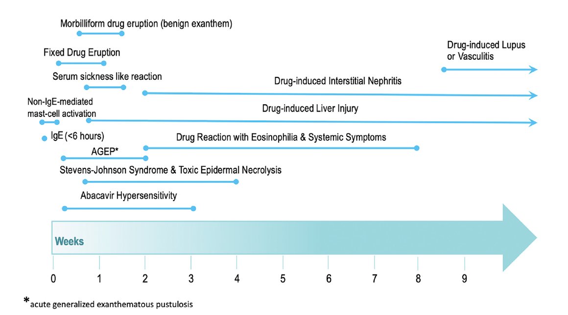 Rebecca Berger 🇮🇱 (@rebeccaeberger) on Twitter photo Hey #MedTwitter #hospitalmedicine look at this amazing diagram from <a href="/jacionline/">Journal of Allergy and Clinical Immunology</a> showing a timeline of typical onset of various drug hypersensitivity syndromes. Thanks <a href="/KimberlyBlumen1/">Kimberly Blumenthal, MD, MSc</a> and team! jacionline.org/article/S0091-… Hey #MedTwitter #hospitalmedicine look at this amazing diagram from <a href="/jacionline/">Journal of Allergy and Clinical Immunology</a> showing a timeline of typical onset of various drug hypersensitivity syndromes. Thanks <a href="/KimberlyBlumen1/">Kimberly Blumenthal, MD, MSc</a> and team! jacionline.org/article/S0091-…
