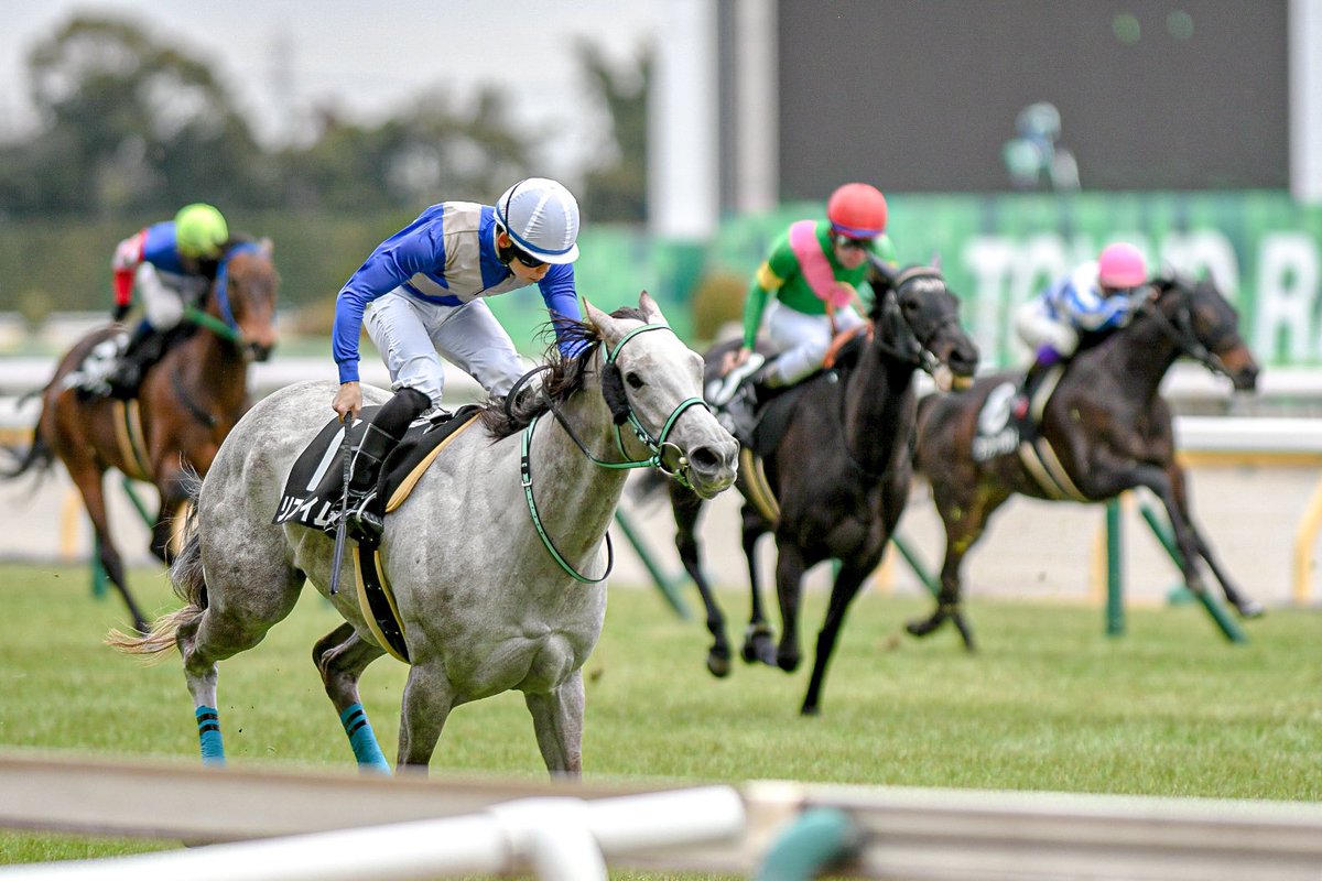 inochoooo's tweet photo. 2022.01.30 東京競馬場
節分ステークス
リフレイム × 野中悠太郎 https://t.co/ae1bUWUYPl