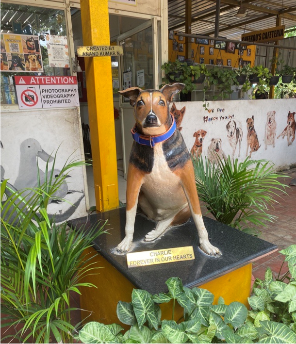 ForcepointSec's tweet photo. Forcepoint Team India visited Charlies Animal Rescue and Care (CARE) in Bengaluru, where they got the opportunity to interact with the CARE team and understand the challenges and nuances of handling the rescued animals and how we could support them.
#ForcepointImpact https://t.co/SoG0Fe2NyC