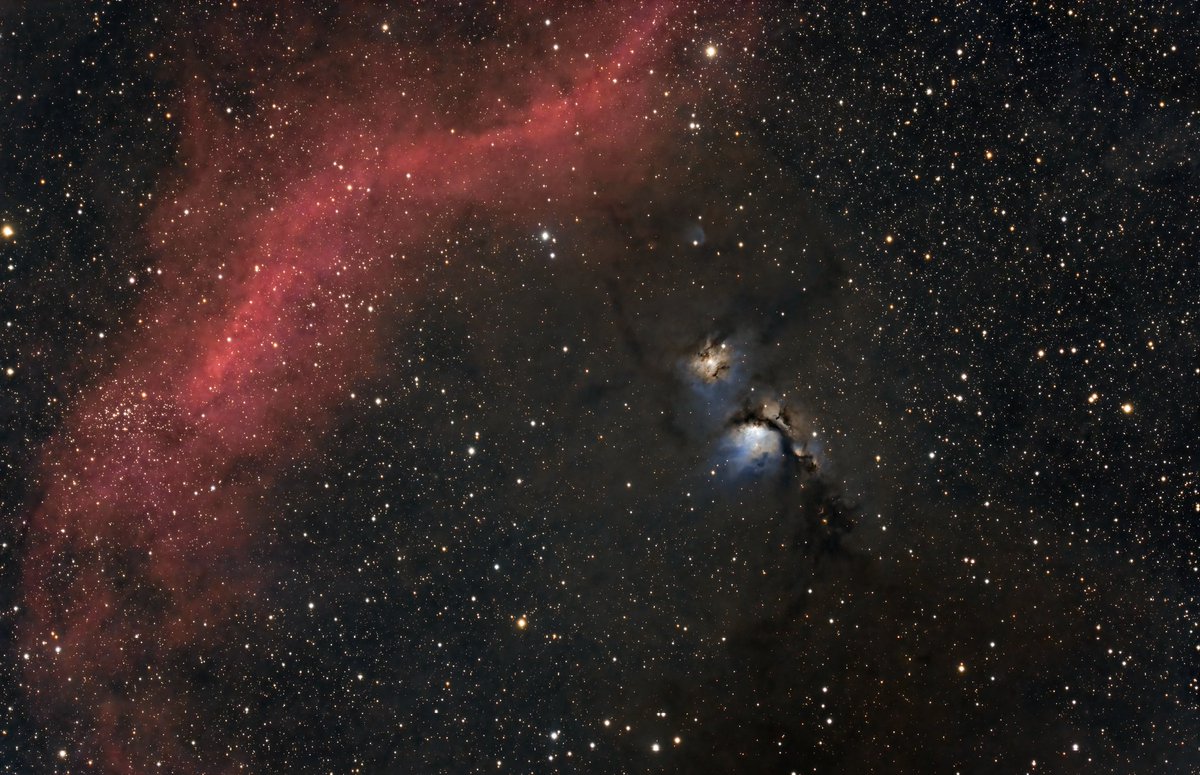 M78 and a portion of Barnard's Loop in Orion #astronomy. M78 can be tracked down in 8x40 binoculars close to Orion's belt