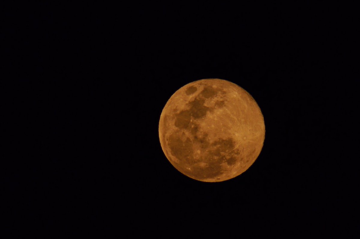 APhotografiA's tweet photo. Primera #lunallena del #2024 o #lunadelobo vista desde #sansalvador #elsalvador
#primeralunallenadelaño #primeraluna #moon #fullmoon #wolfmoon #firstmoon #astro #astrophotography #astrophoto #astronomy #astronomy #sony #sonyalpha #sonya77ii #photojournalism #sivar https://t.co/MQM6B1lOSc