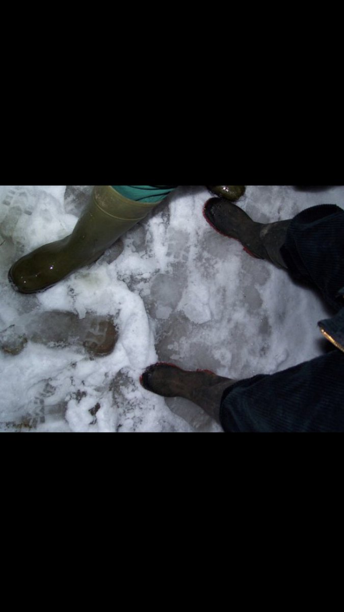 Seppi90 (@seppi88605) on Twitter photo 